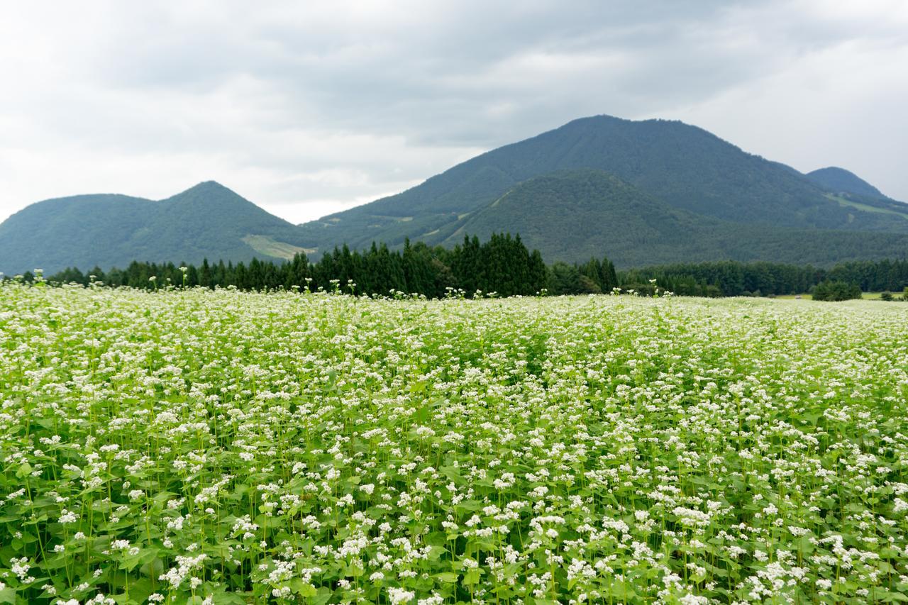 Aibiya Yamanouchi (Nagano) Exterior foto